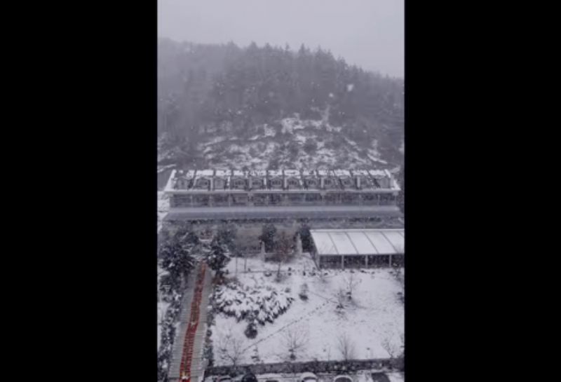  Zamanın Yavaşladığı Yer 🌲 